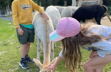 Hawthorn Cottage - Photo 16