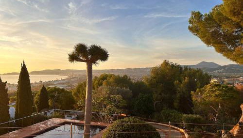 El Drago - Foto 3, Garden