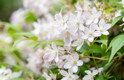 The Courtyard - Foto 23