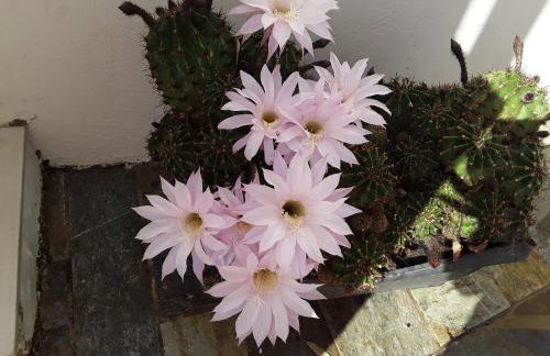 The house in the port - Foto 41