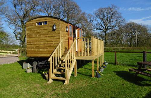 The Lazy Shepherd - Foto 8