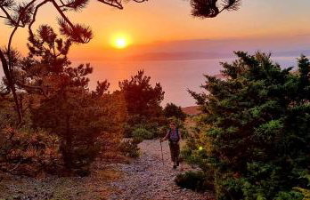 Apartmani Milenko Lubenice - Foto 47