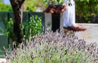 Peach Pine House - Escape Near City, Beach and Athens Airport - Foto 18