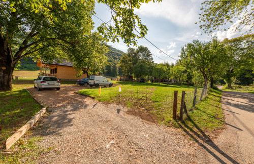 Forest Paradise - Foto 17