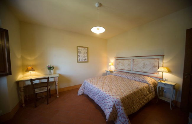 azienda agricola lo zolfino - Foto 7