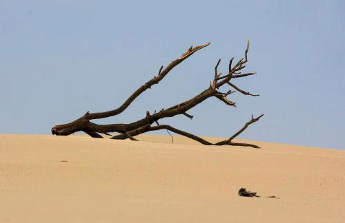 Bungalow B9 - Nature, Beach & River - Photo 63