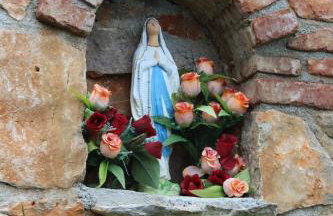 Mary's Garden - Foto 24