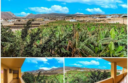 SUNFLOWER SEA AND TEIDE VIEW - Foto 14