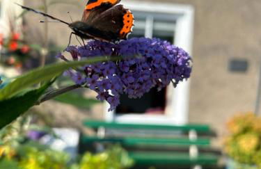 The Stopping Point Stylish Coastal Retreat near Cartmel & Lake District - Foto 18