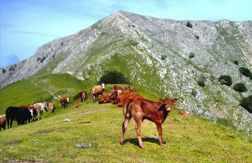 Casa Marta - Foto 43