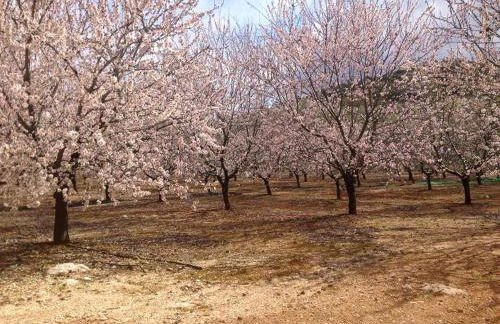 Cosy house in Estepa with mountain view - Photo 13