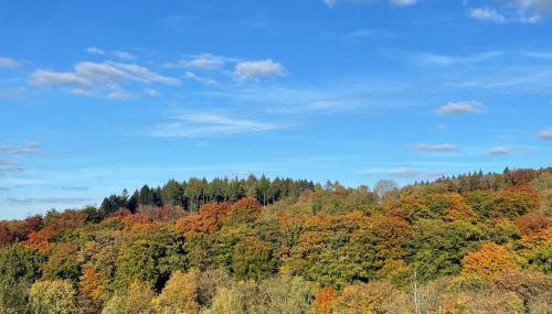 Chalet am Biggesee - Foto 3