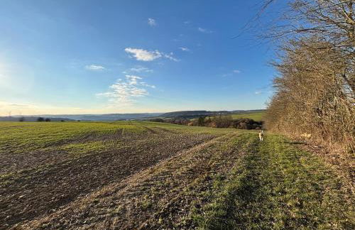 Panorama-Auszeit in Trierweiler - Foto 32