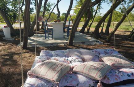 Quinta das Cestas - Agroturismo - Foto 32