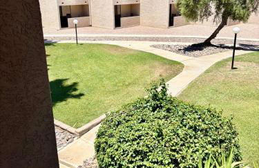 Saguaro & Sage - Foto 9