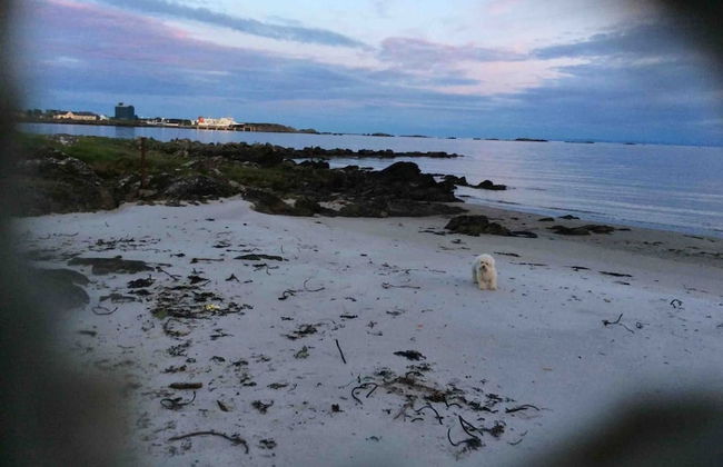 Quaint and Quirky Coastal Cottage Islay - Foto 34