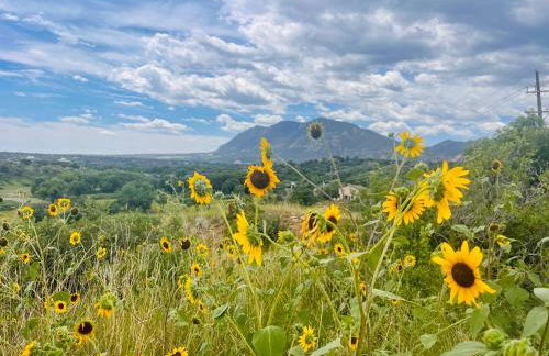 Celestial Casita - Foto 13