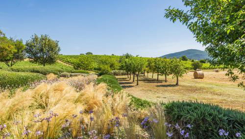 Il casale degli olivi - Foto 4