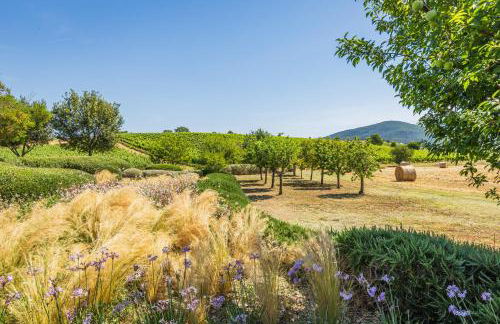 Il casale degli olivi - Foto 4