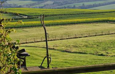 Huntshaw Stables - Foto 9