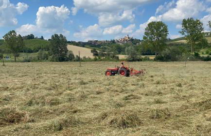 Agriturismo La Mussia - Foto 63