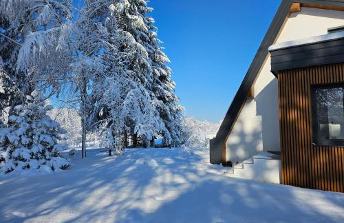 Kuća za odmor Šumska Vila - Foto 67