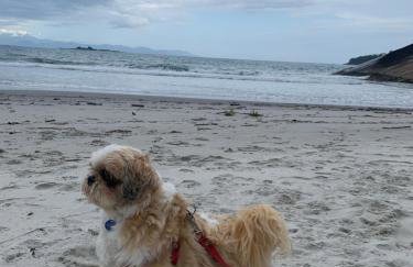 Flat Boa Vista Beach - Foto 19