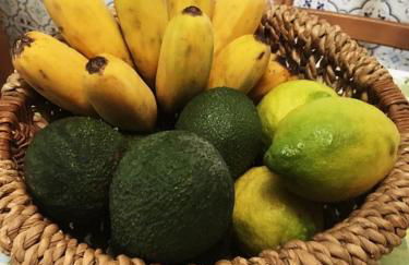 Casa d'Olívia - Photo 3