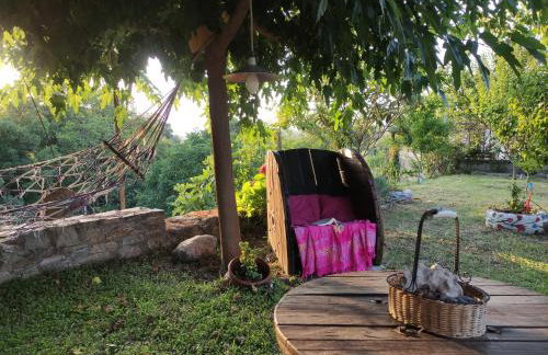 Stomio 4 Seasons Relaxing Apartment - Foto 20