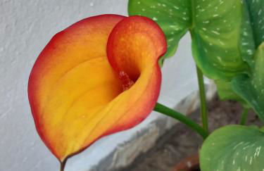 Monolocale da Mariolina - Foto 8