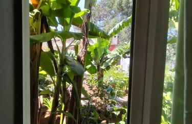 Sea Mountain House - Foto 42