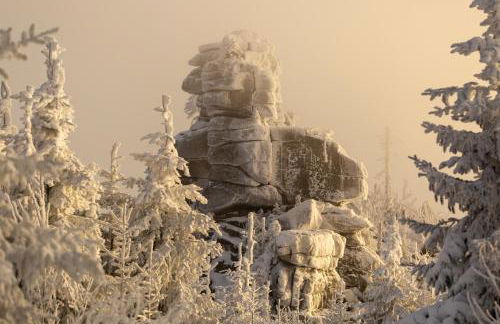 Ferienhaus im Bayerischen Wald - "Lindensalettl" mit Garten und Terrasse - Foto 50