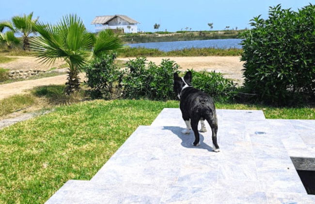 HOP Odaiba Exclusiva Laguna y Playa en Chincha - Foto 21