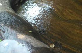 Um pedaço de paraíso a sua espera, venha desfrutar - Foto 12