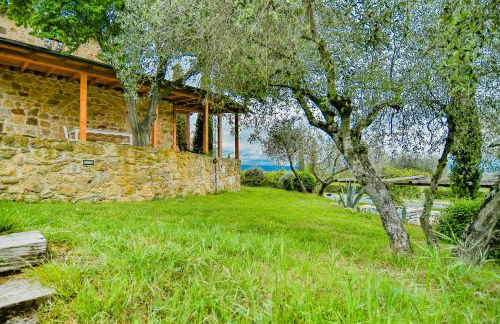 L'Aquila e L'Ulivo - Foto 9