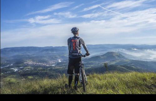 The Forager's Rest - Foto 63