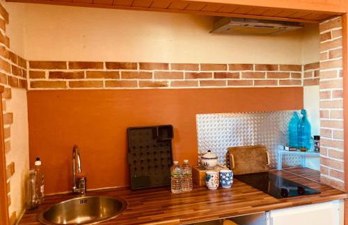 Métairie de Moutiques - Photo 23