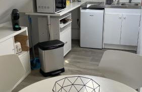 LE PAVILLON RENNAIS - Foto 31