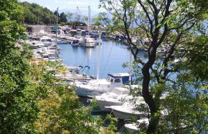 Apartments Topalović - Foto 20