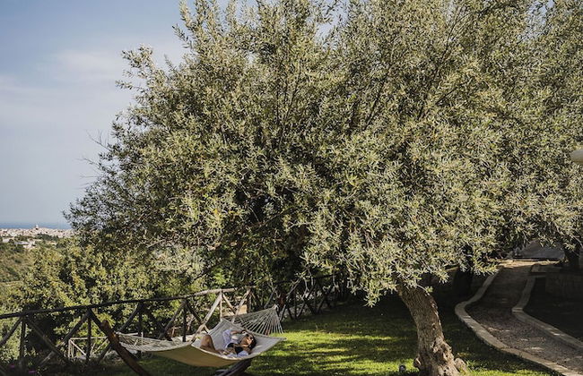 Tenuta Olive Alive - Foto 76