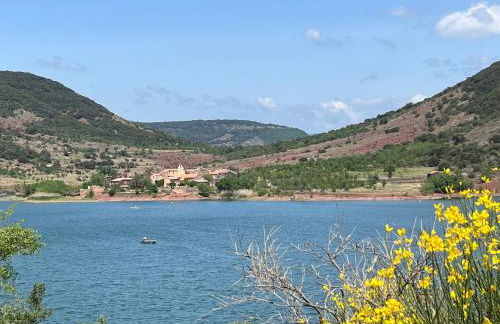 L'atelier du Salagou - Foto 28