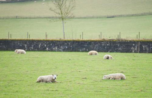 Apple Tree Lodge - Photo 17