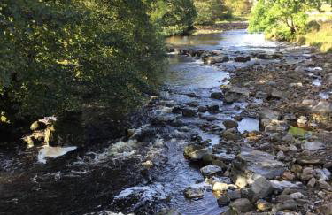 Weardale Cottage - Photo 46