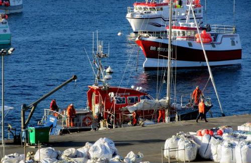 Gite de kernaet avec piscine - Photo 26