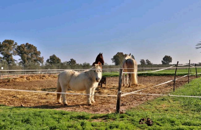 Casa Rural Ecuestre - Foto 44