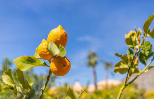 Altea Hills , Villa Noruega - Photo 30