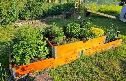 Królikowe Chaty - Foto 41