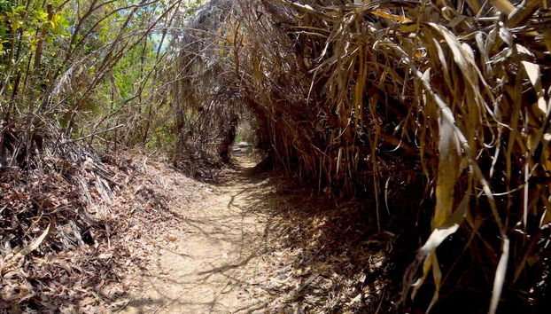 Uno dei percorsi dell'oasi