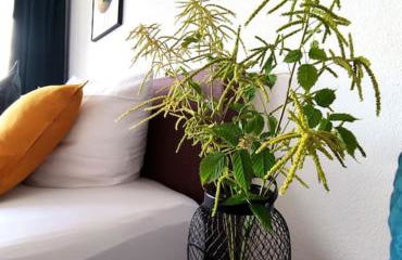 Sauna, Pools mit XXL-Terasse oder Kinderkino - Foto 27