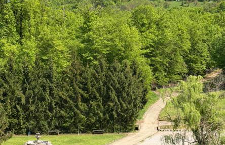 Apartments Šoić - Photo 5